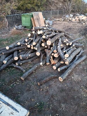 20251112_174042.jpg 20251112_174042.jpg