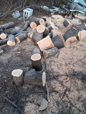 20251112_174108.jpg 20251112_174108.jpg