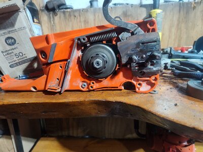 IMG_20251112_204625912.jpg IMG_20251112_204625912.jpg