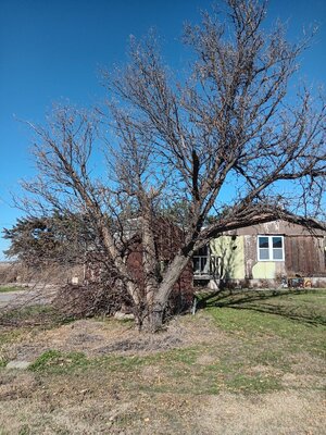 20251113_132739.jpg 20251113_132739.jpg