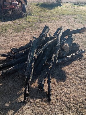 20251113_151507.jpg 20251113_151507.jpg