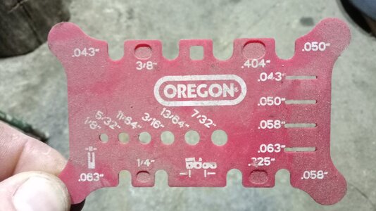 IMG_20251113_230420.jpg IMG_20251113_230420.jpg