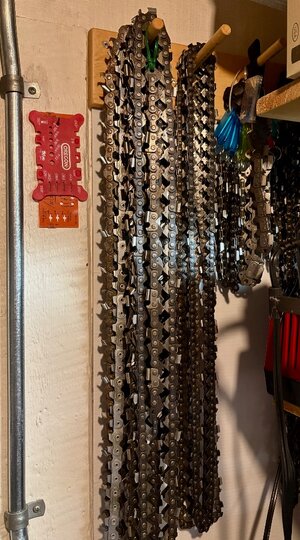 IMG_1360.jpeg IMG_1360.jpeg