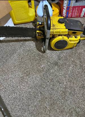 IMG_7327.jpeg IMG_7327.jpeg