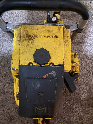 IMG_7328.jpeg IMG_7328.jpeg