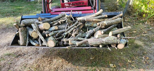 20251008_153213.jpg 20251008_153213.jpg