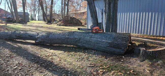 20251114_114011.jpg 20251114_114011.jpg