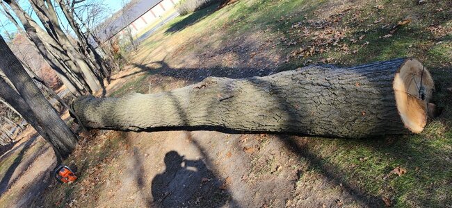 20251114_113841.jpg 20251114_113841.jpg