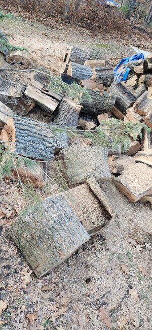 20251114_160300.jpg 20251114_160300.jpg