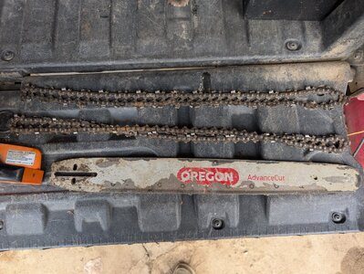 PXL_20251115_173921579.jpg PXL_20251115_173921579.jpg