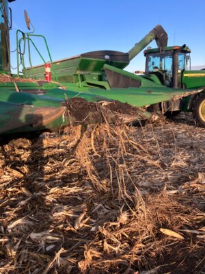 IMG_1781.jpeg IMG_1781.jpeg