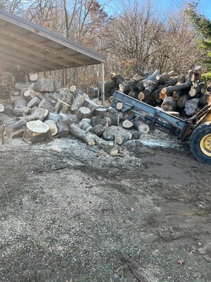 IMG_4026.jpeg IMG_4026.jpeg