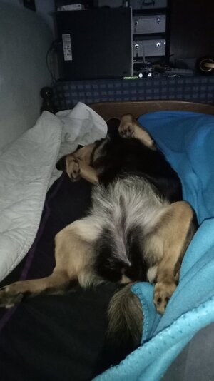 IMG_20251115_221307.jpg IMG_20251115_221307.jpg