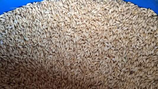 IMG_20251117_121152.jpg IMG_20251117_121152.jpg