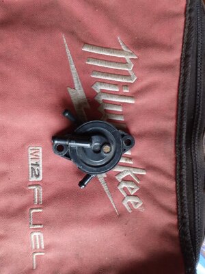 Honda gen fuel pump.jpg