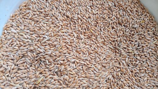 IMG_20251117_114832.jpg IMG_20251117_114832.jpg