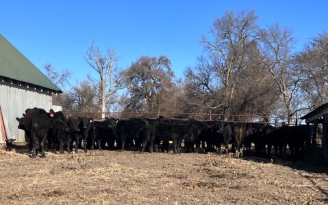 IMG_1788.jpeg IMG_1788.jpeg