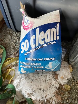 IMG_3184.jpeg IMG_3184.jpeg