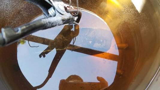 Resized_20170728_145426.jpeg Resized_20170728_145426.jpeg