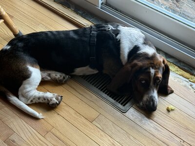 IMG_1161.jpeg IMG_1161.jpeg