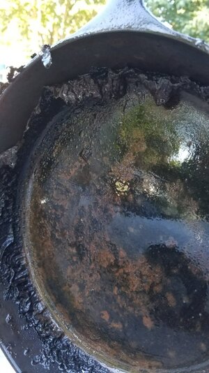 Resized_20170728_171419.jpeg Resized_20170728_171419.jpeg