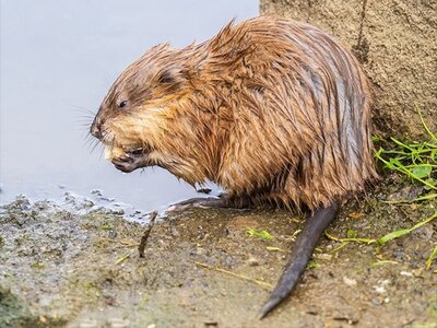 1763615958043.jpeg 1763615958043.jpeg