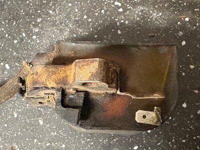 IMG_7408.jpeg IMG_7408.jpeg