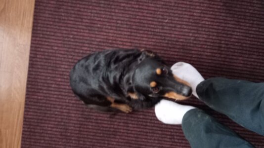 IMG_20251123_093857.jpg IMG_20251123_093857.jpg