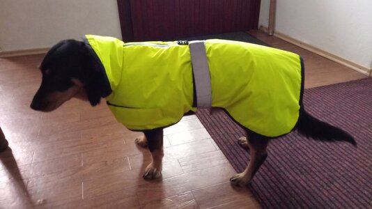 IMG_20251123_094008.jpg IMG_20251123_094008.jpg