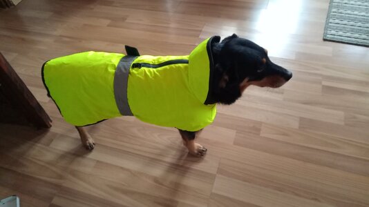 IMG_20251123_094048.jpg IMG_20251123_094048.jpg