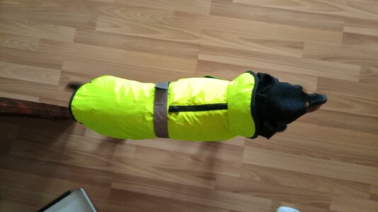 IMG_20251123_094051.jpg IMG_20251123_094051.jpg