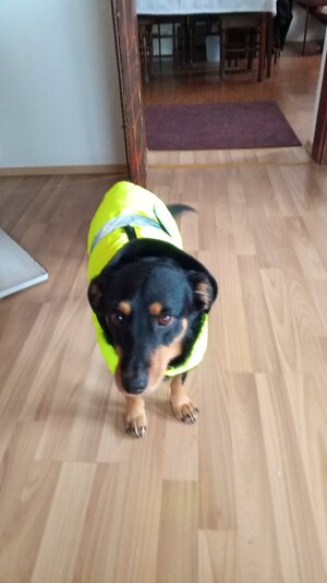 IMG_20251123_094054.jpg IMG_20251123_094054.jpg