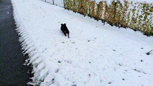 IMG_20251123_103258.jpg IMG_20251123_103258.jpg