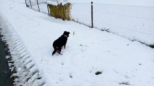 IMG_20251123_103315.jpg IMG_20251123_103315.jpg