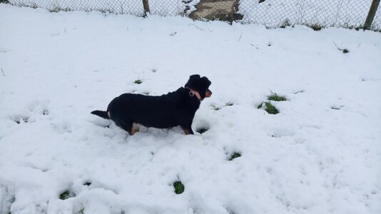 IMG_20251123_103332.jpg IMG_20251123_103332.jpg