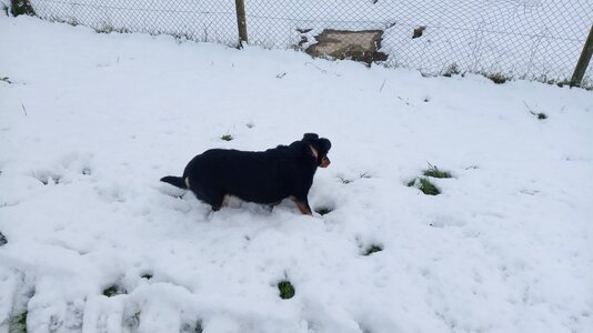 IMG_20251123_103334.jpg IMG_20251123_103334.jpg