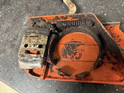 IMG_7419.jpeg IMG_7419.jpeg