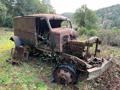 IMG_6010.jpeg IMG_6010.jpeg