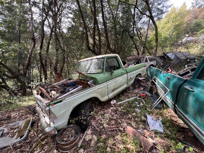 IMG_6325.jpeg IMG_6325.jpeg