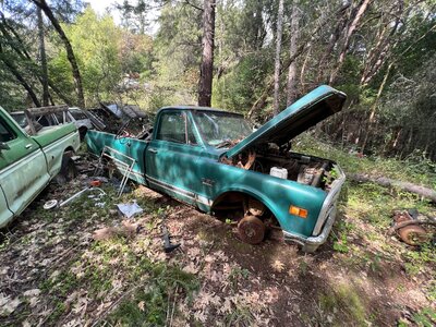 IMG_6326.jpeg IMG_6326.jpeg