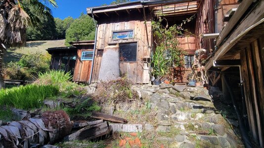 20251123_123929.jpg 20251123_123929.jpg