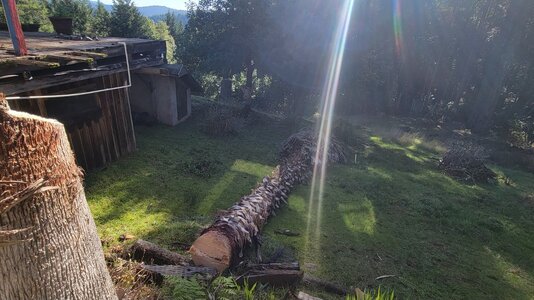 20251123_123956.jpg 20251123_123956.jpg