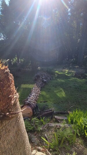 20251123_123959.jpg 20251123_123959.jpg