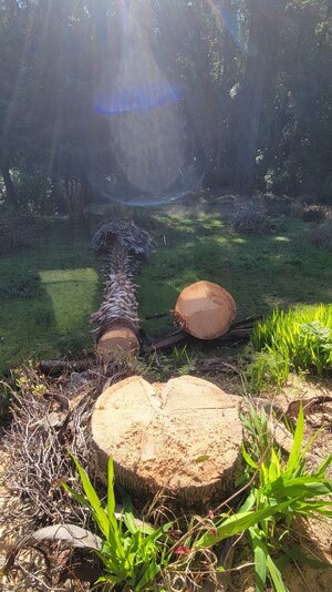 20251123_124722.jpg 20251123_124722.jpg