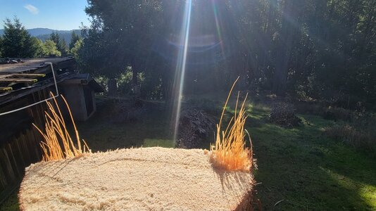 20251123_123947.jpg 20251123_123947.jpg