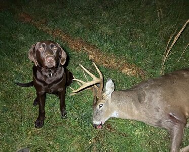 IMG_3136.jpeg IMG_3136.jpeg