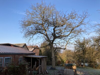 IMG_6696.jpeg IMG_6696.jpeg