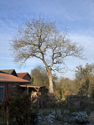 IMG_6697.jpeg IMG_6697.jpeg