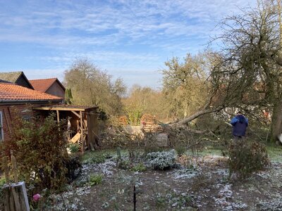 IMG_6698.jpeg IMG_6698.jpeg