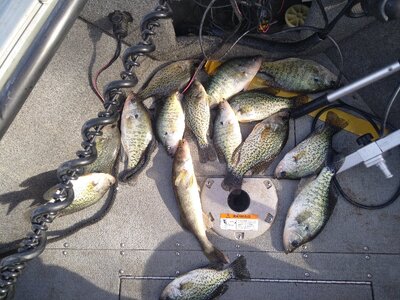 IMG_20251126_131412.jpg IMG_20251126_131412.jpg